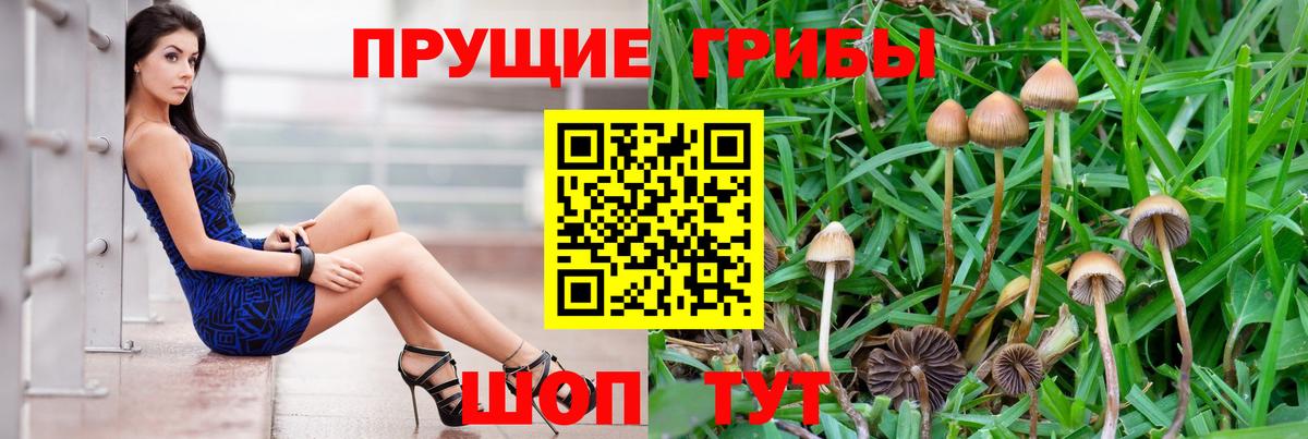 купить наркоту  Вход с VPN  Кирово-Чепецк  Псилоцибиновые грибы Magic Shrooms 